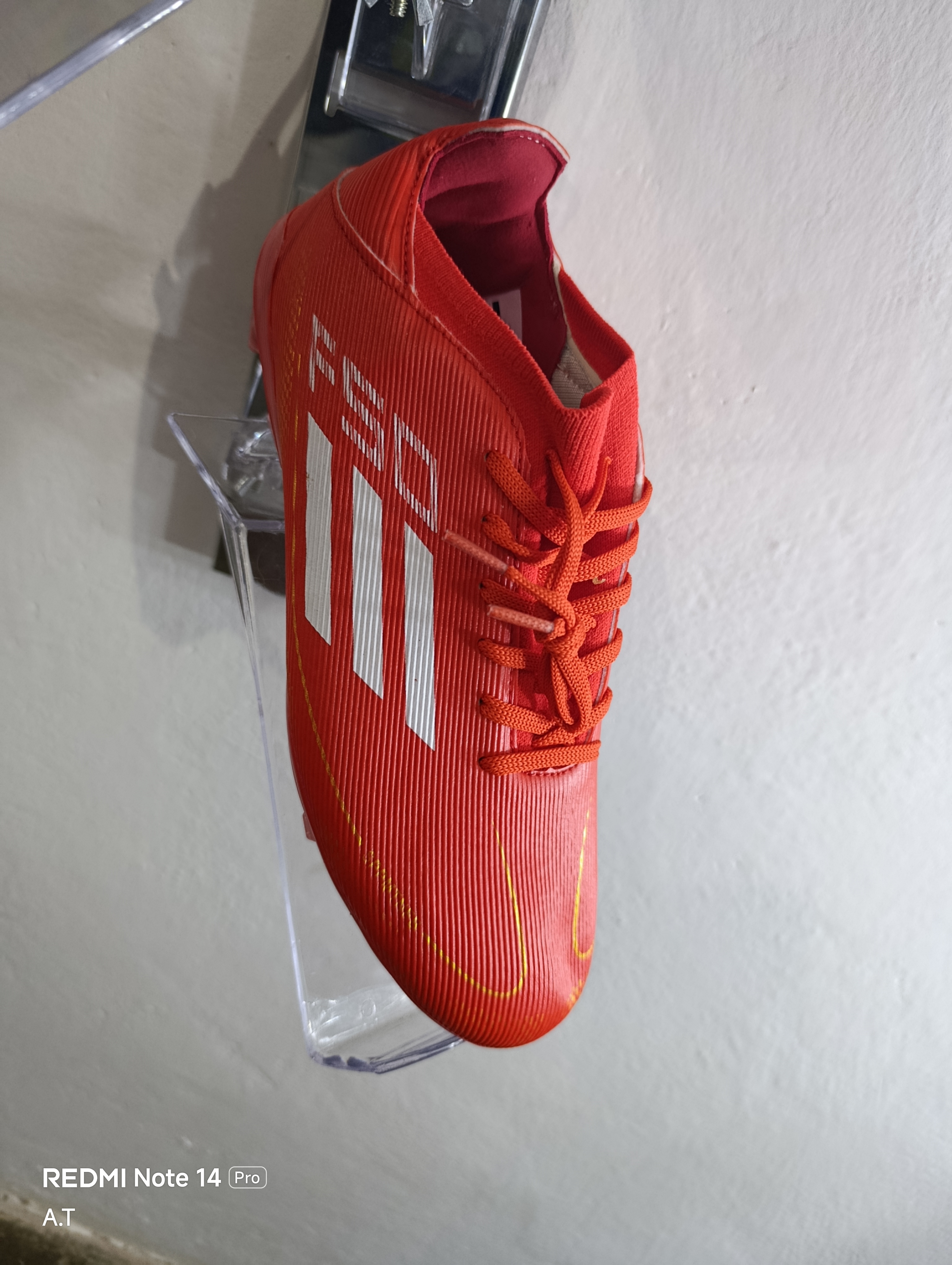 Rojo f50, 31
